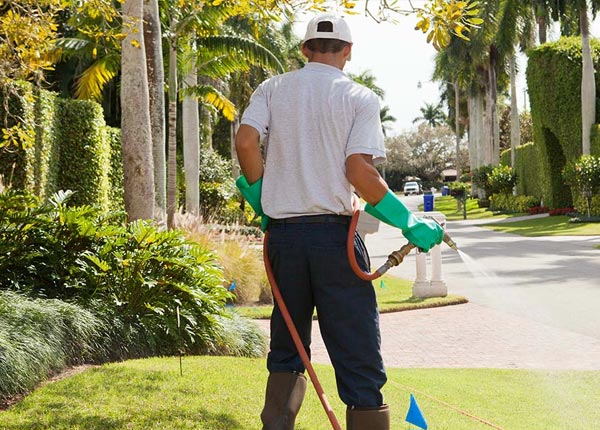About Hopewell Junction NY Pest Control